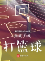 带着外挂打篮球在线阅读