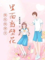 我在快穿文里面当壁花在线阅读