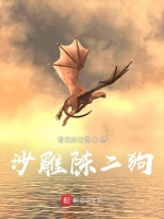 沙雕陈二狗封面