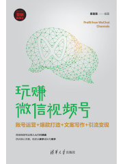 玩赚微信视频号：账号运营+爆款打造+文案写作+引流变现