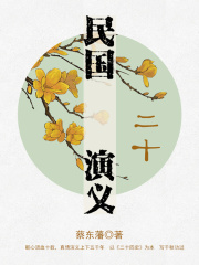 蔡东藩经典历史小说：民国演义（20）在线阅读