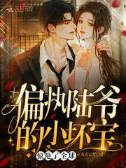 偏执陆爷的小坏宝惊艳了全球在线阅读