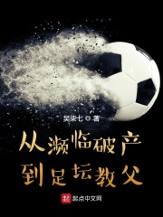 从濒临破产到足坛教父在线阅读