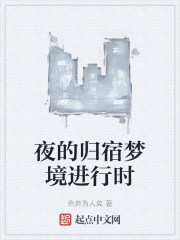 夜的归宿梦境进行时