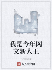 我是今年网文新人王