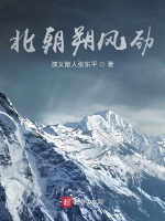 北朝朔风劲封面