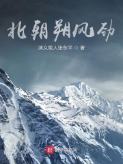 北朝朔风劲在线阅读