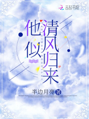 他似清风归来在线阅读