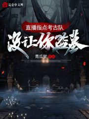 直播指点考古队：没让你盗墓！在线阅读