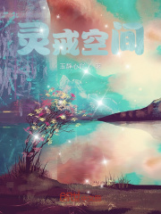灵戒空间在线阅读