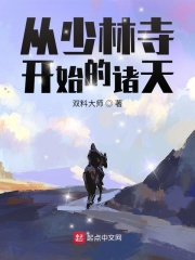 从少林寺开始的诸天在线阅读