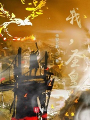 我的圣皇路在线阅读