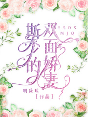 斯少的双面娇妻