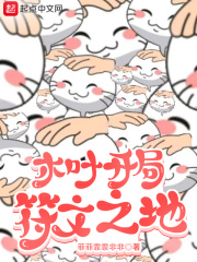 木叶开局符文之地在线阅读