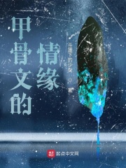 甲骨文的情缘在线阅读