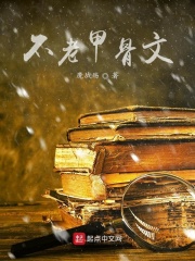 不老甲骨文在线阅读