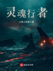 灵魂行者在线阅读