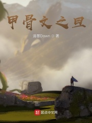 甲骨文之旦在线阅读