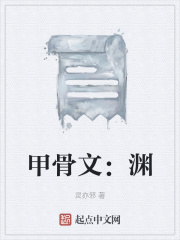 甲骨文：渊在线阅读