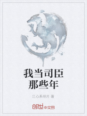 我当司臣那些年