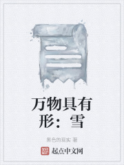 万物具有形：雪
