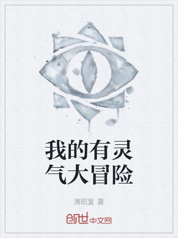 我的有灵气大冒险