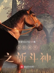 金职高手之站天斗地在线阅读