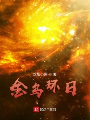 金乌环日