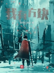 我有方块在线阅读