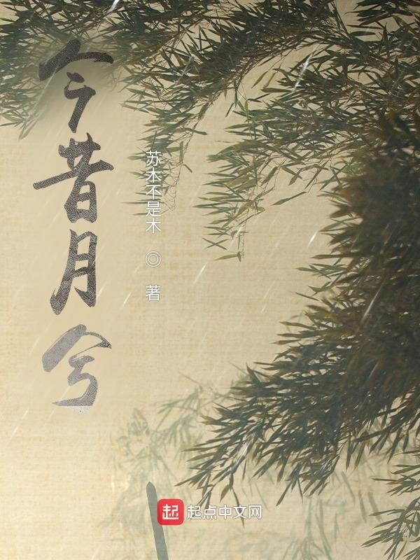 今昔月兮在线阅读
