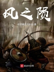 风之陨在线阅读