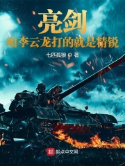 亮剑：咱李云龙打的就是精锐在线阅读