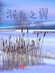 混乱之翼在线阅读