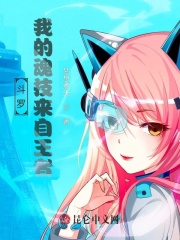 斗罗：我的魂技来自王者