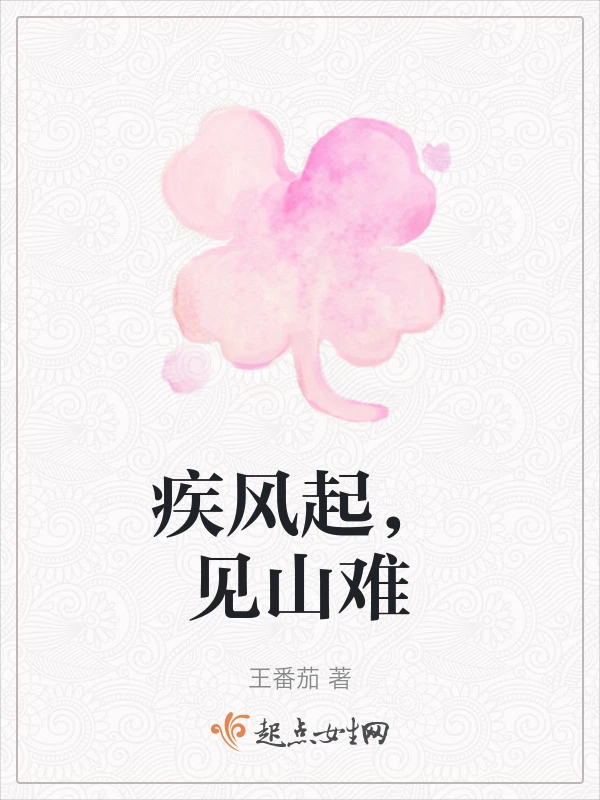 疾风起，见山难