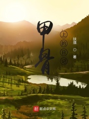 甲骨上的日记在线阅读