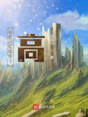 甲骨问情续集3：高在线阅读