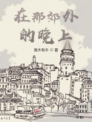 在那郊外的晚上在线阅读