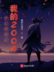 梦幻西游之我的2004在线阅读