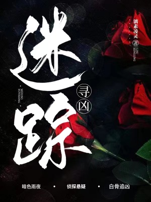 迷踪寻凶在线阅读