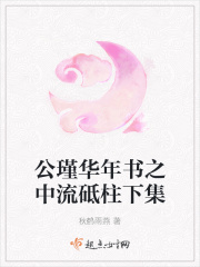 公瑾华年书之中流砥柱下集在线阅读