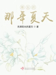 难忘的那年夏天