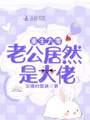 重生九零，老公居然是大佬在线阅读