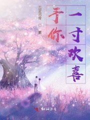 予你一寸欢喜在线阅读