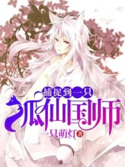 捕捉到一只狐仙国师