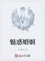 魅惑婚姻在线阅读
