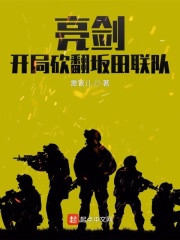 亮剑，开局砍翻坂田联队在线阅读