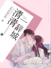 清清一辞城在线阅读