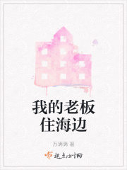我的老板住海边在线阅读