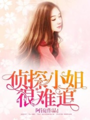 侦探小姐很难追在线阅读